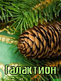 �������� � ������� ���������